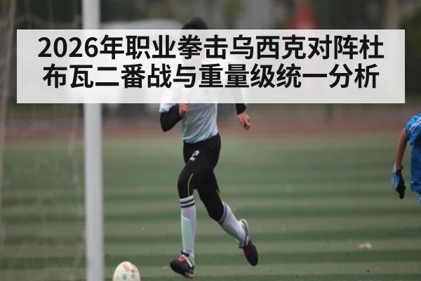 2026年职业拳击乌西克对阵杜布瓦二番战与重量级统一分析（Yabo）
